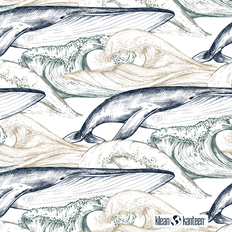 20oz-tkwide-with-twist-cap-ocean-day-e9 20oz_tkwide_bottle_seasonal_ocean_day_whale_artwork_square.png