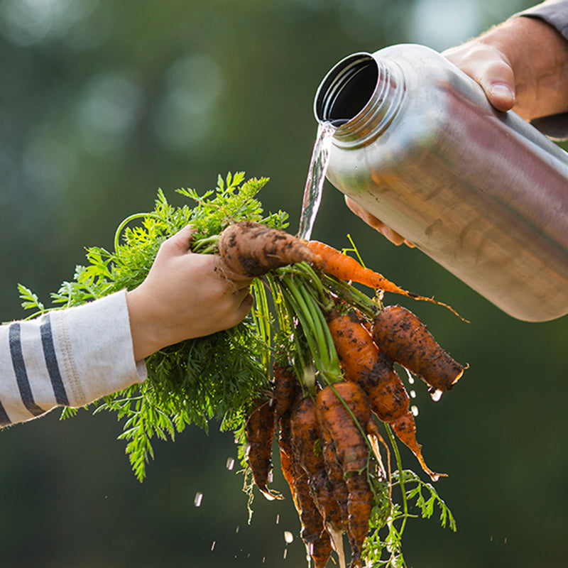 64oz-wide-with-loop-cap-q7 64oz_wide_mouth_bottle_carrots_rinse_square.jpg