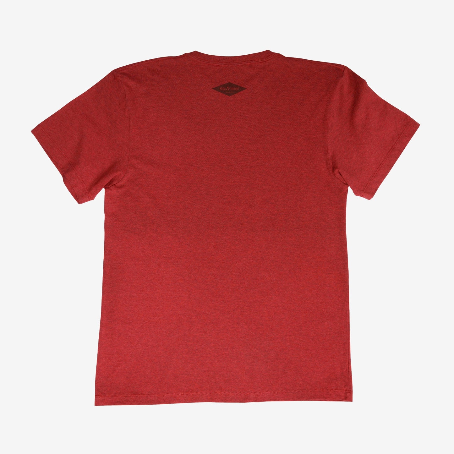 backyard-t-shirt-f1 Shirt_Mtn_Back.jpg